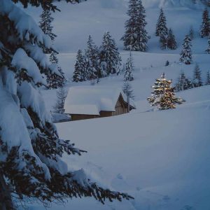 winter, weihnachten, schnee