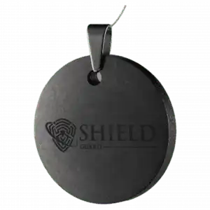 schungit-anhänger-poliert-rund