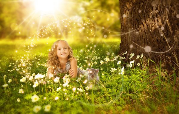 manifestation, wish, sun, girl, child, animal, flowers, cat, kitten, friends, smile, kid, happy, cute, nature, female, sunshine, child, beautiful flowers, flower background, cat, smile, happy, pet, flower wallpaper,
